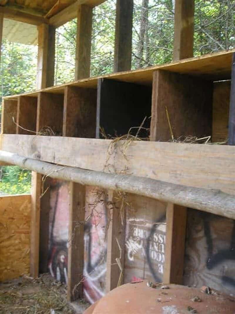 nesting boxes inside chicken coop