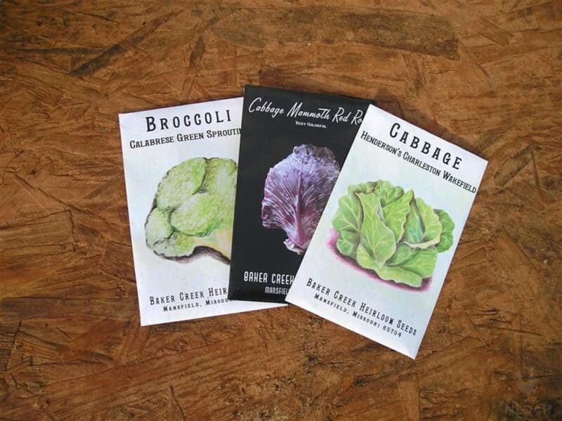 packets of broccoli and cabbage seeds