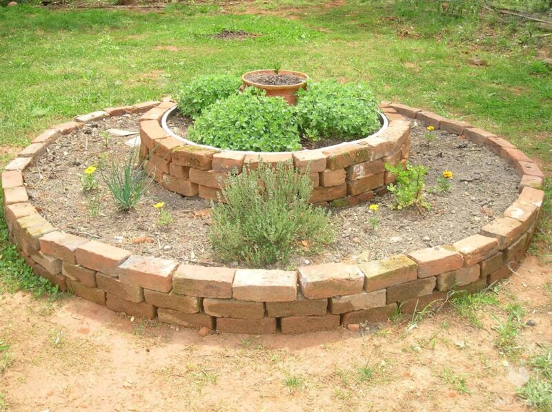 reclaimed brick raised bed with various herbs