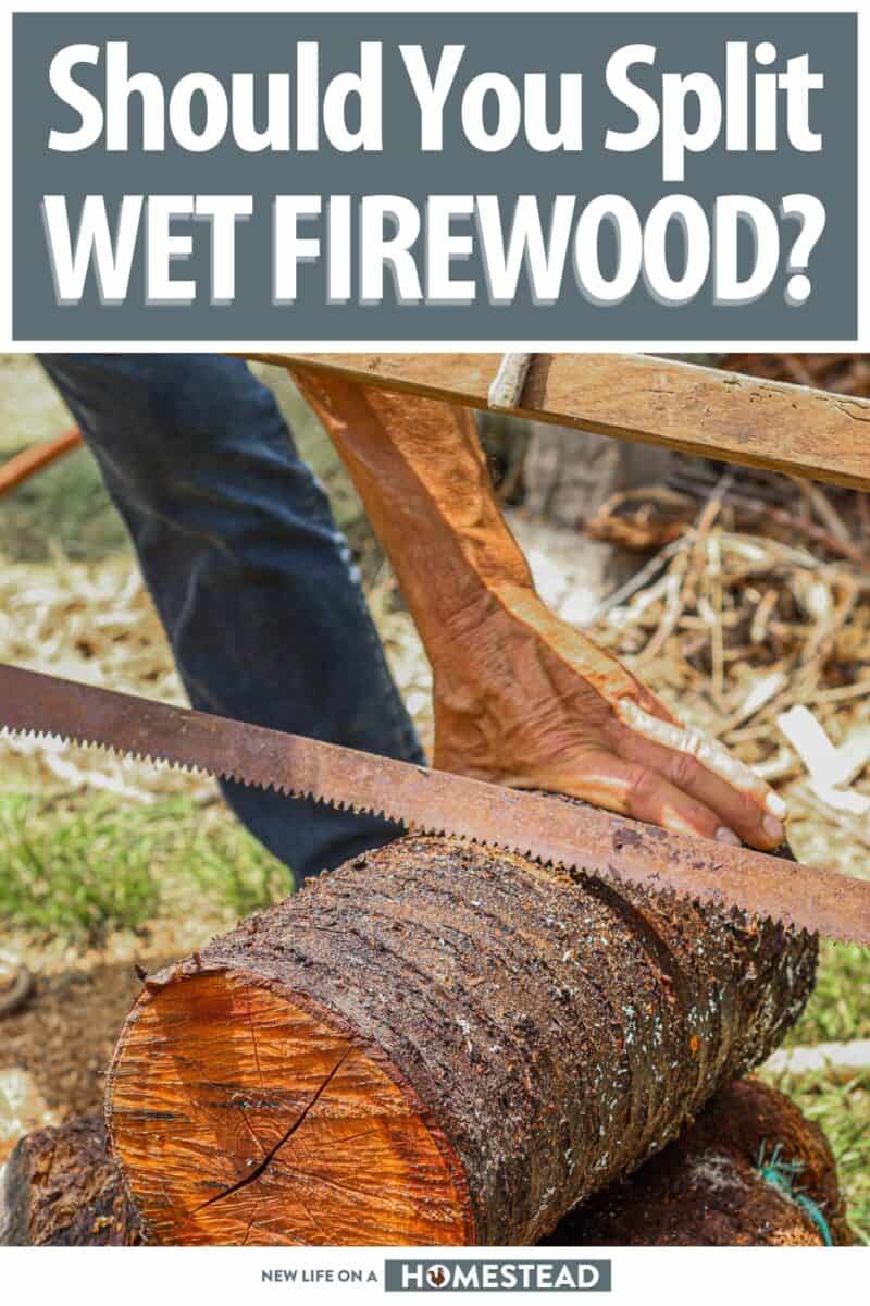 split wet firewood pinterest