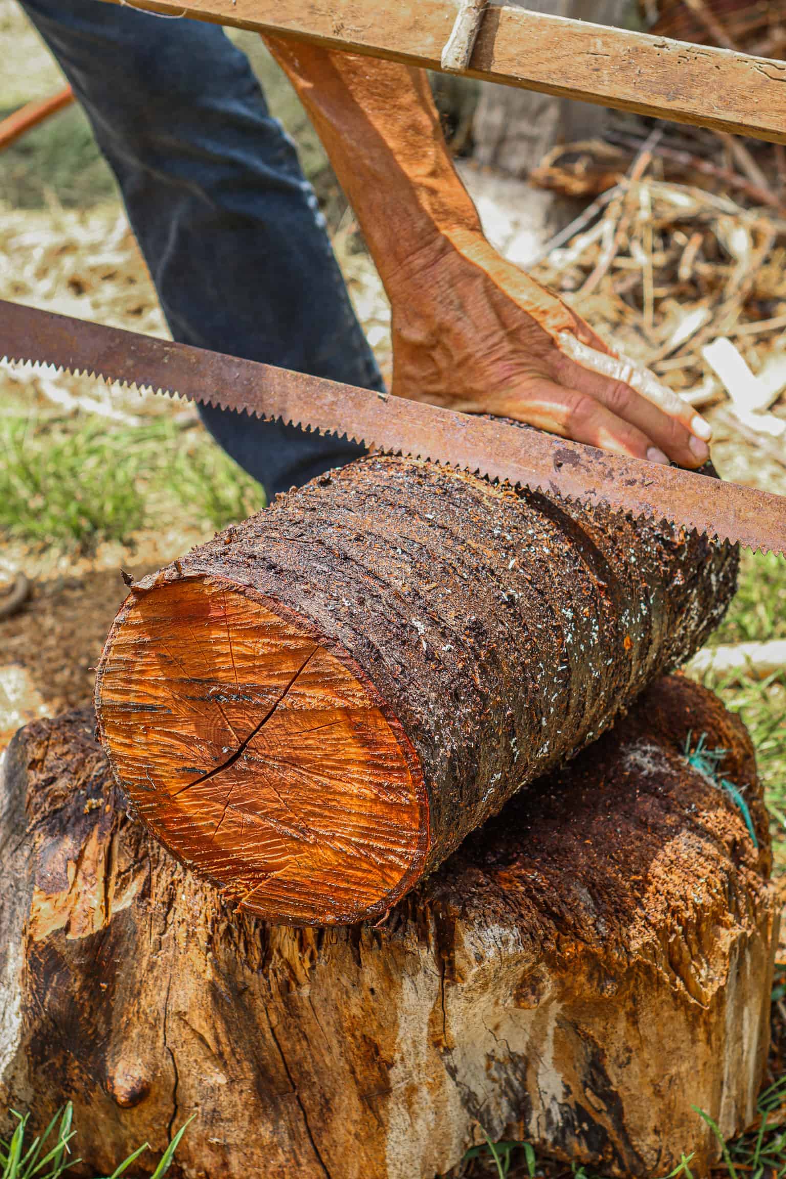 splitting a wet log with a frame saw
