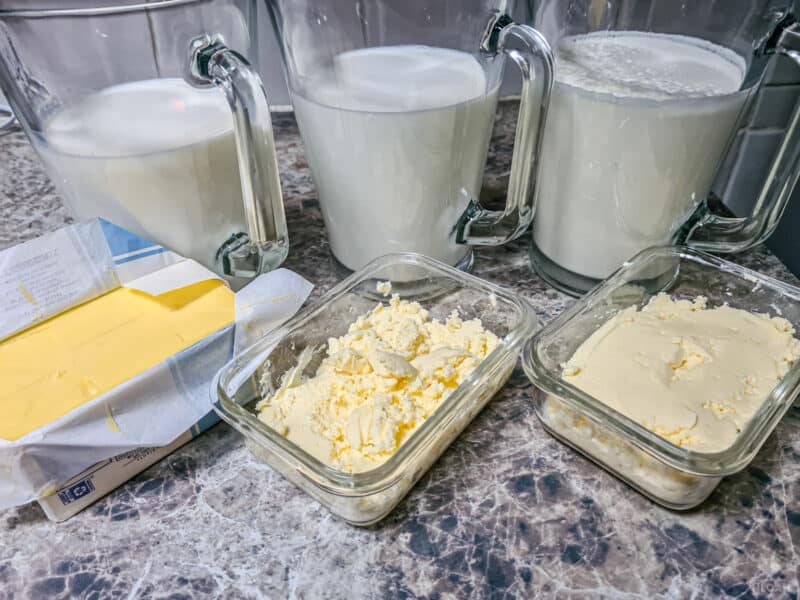 store-bought goat and cow milk and butter