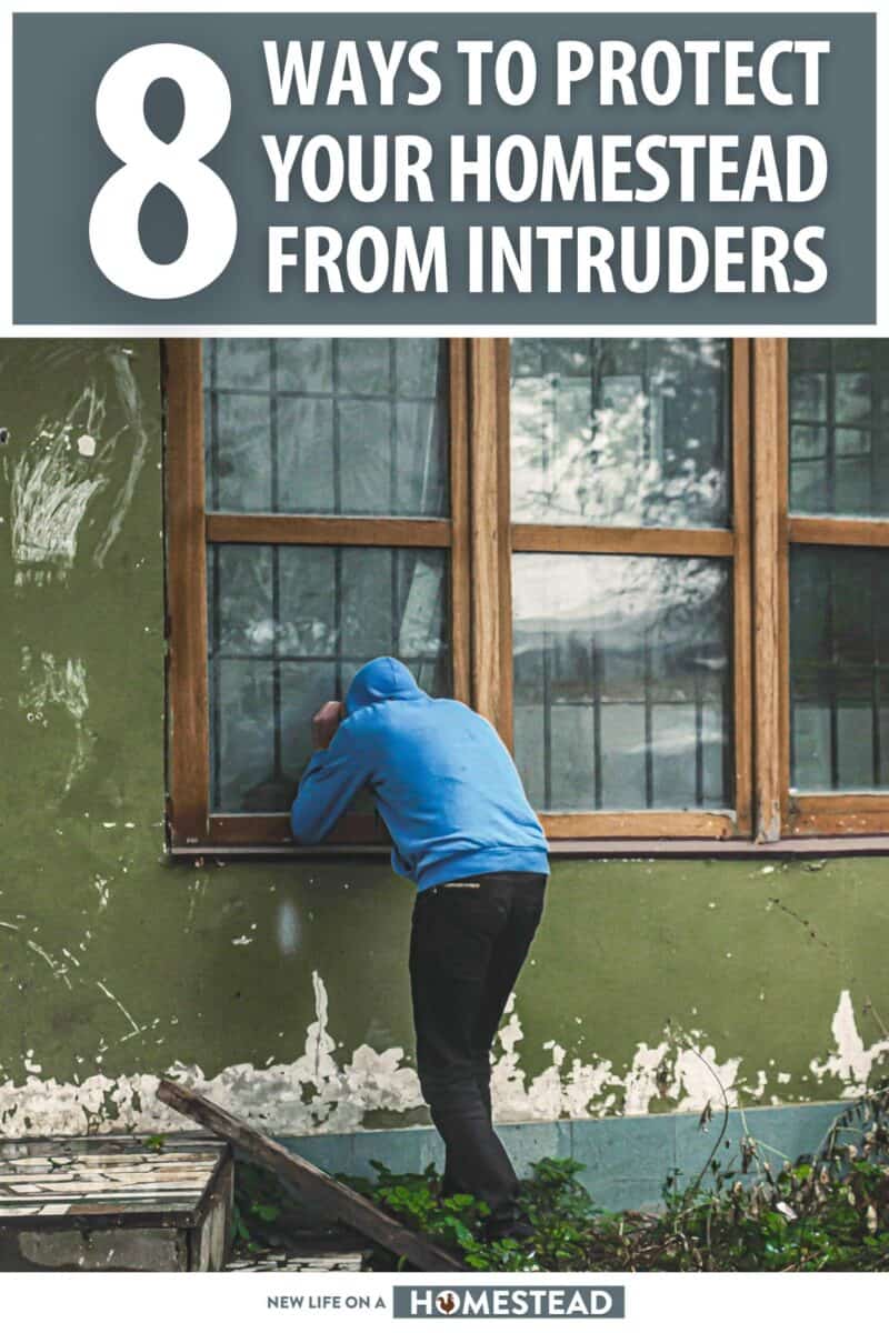 ways to protect your homestead from intruders pinterest