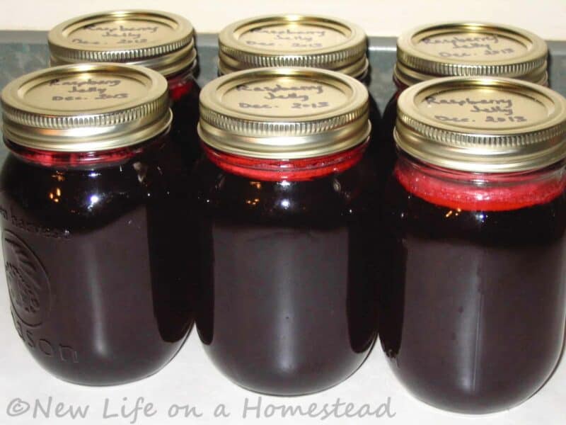cans of raspberry jelly