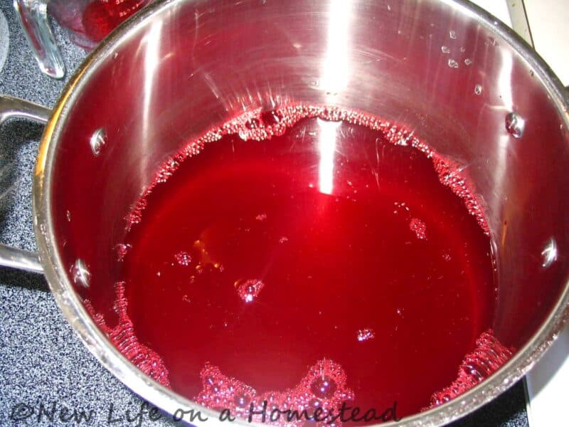 freshly squeezed raspberry juice