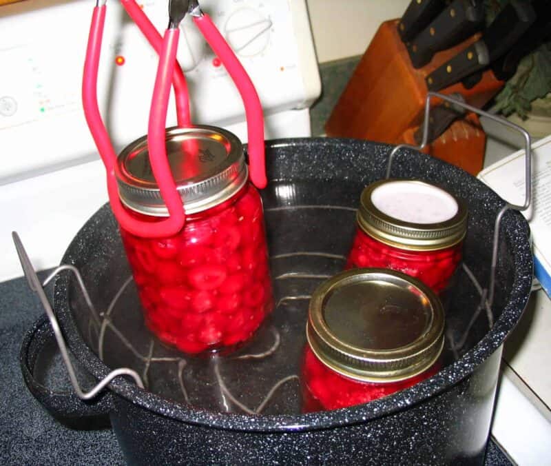 placing raspberry jars in water bath canner