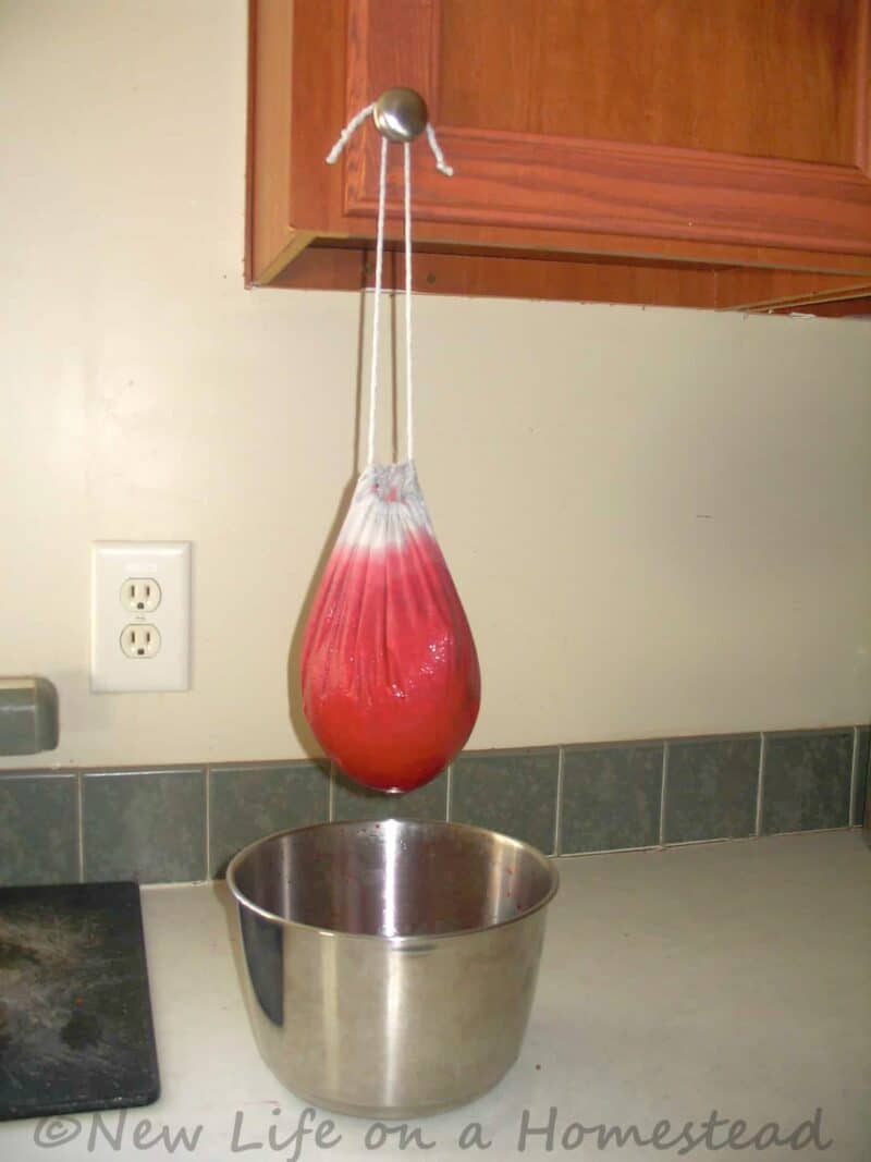 raspberries hanging in jelly bag over pot