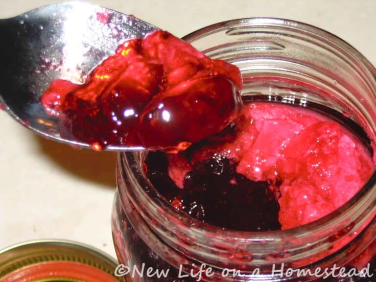 Using Certo For Raspberry Jelly How To Make Delicious Raspberry Jelly (With Pectin)