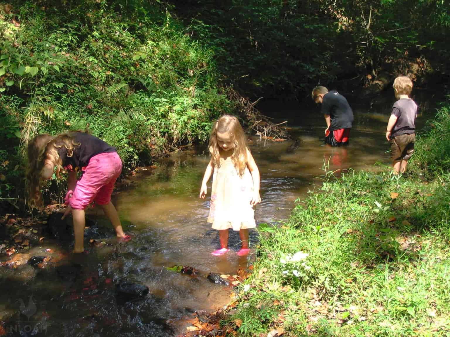 toddlers playing in the creek