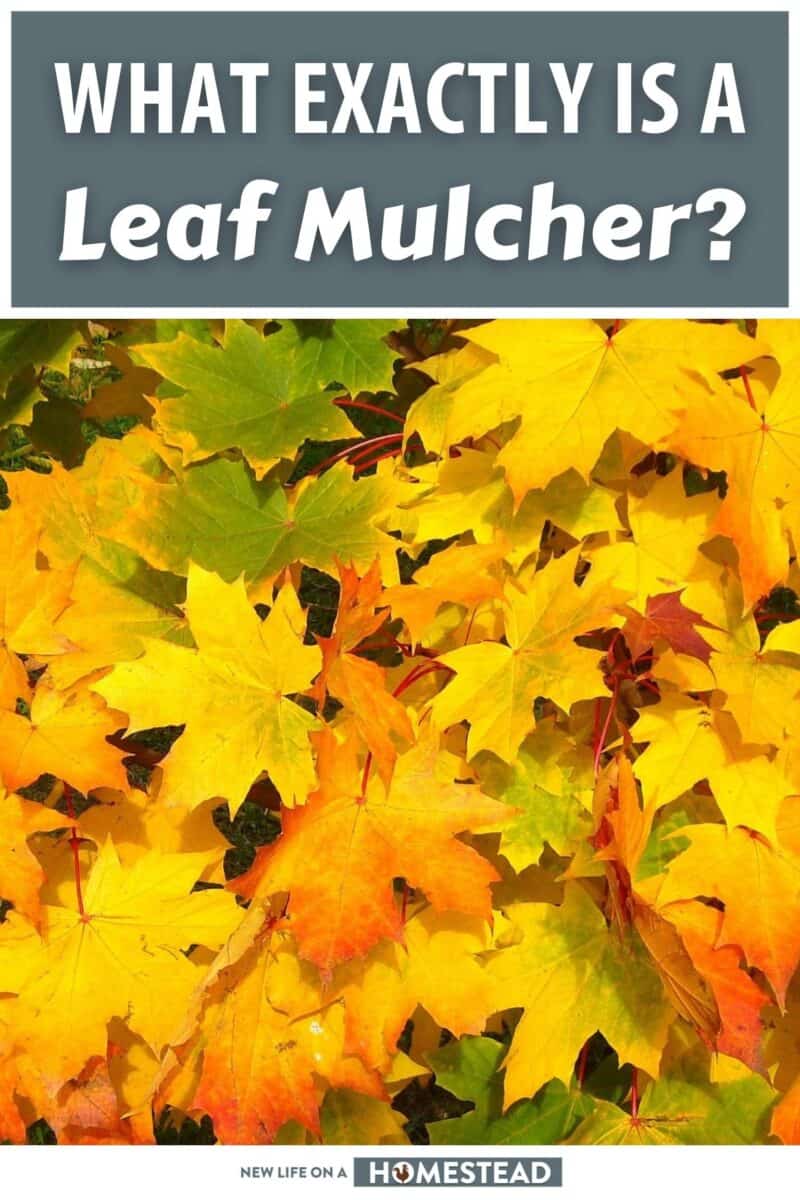 leaf mulcher pinterest