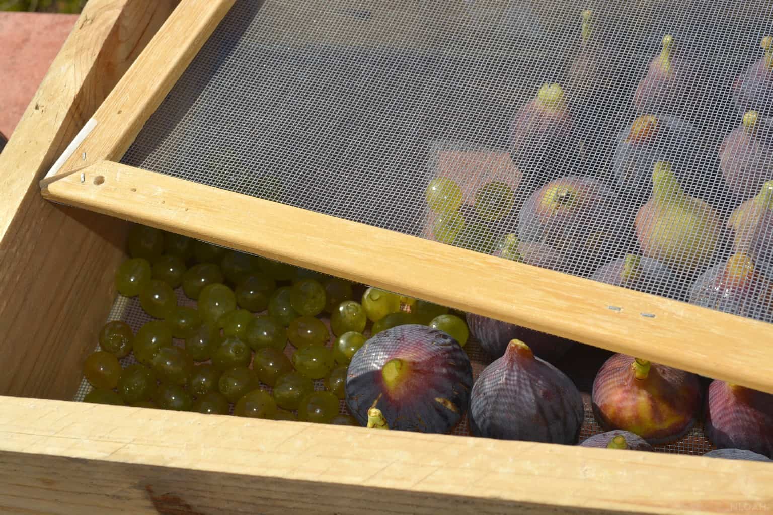 fruits in an opened drying rack
