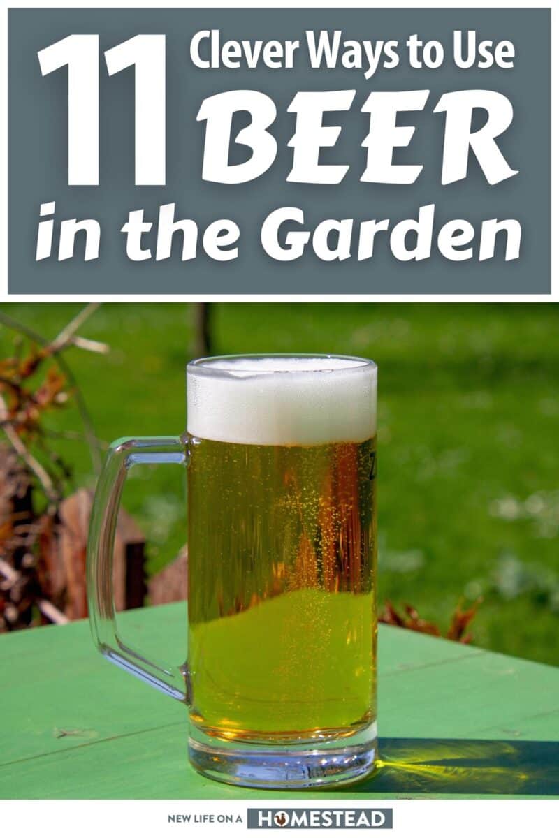 garden beer uses pinterest