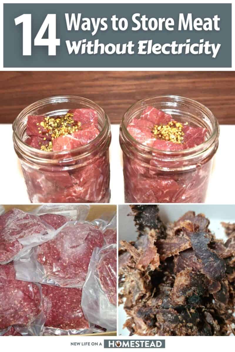 store meat without electricity pinterest