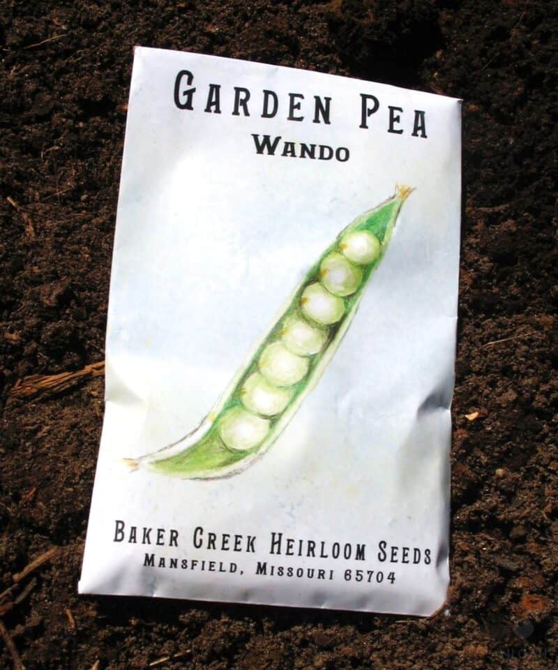 a packet of pea seeds