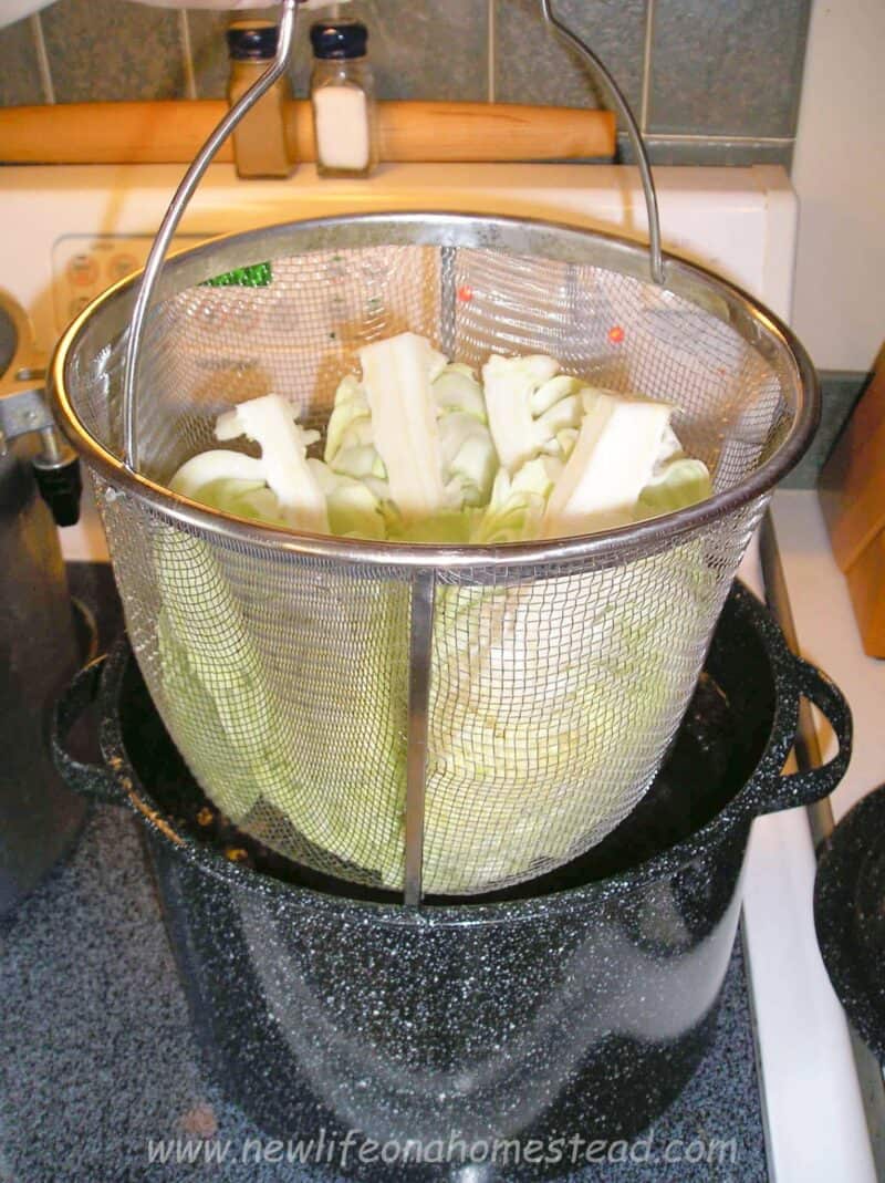 chopped cabbage in blanching basket inside pot