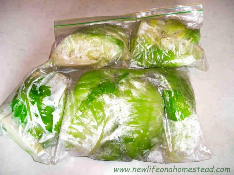 frozen cabbage in zipper bags