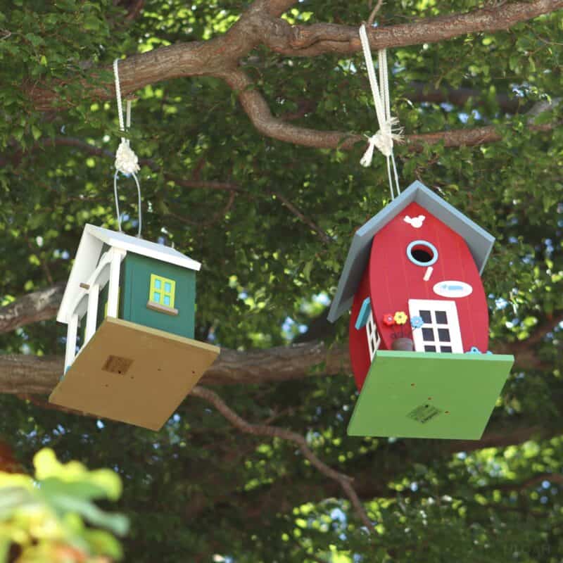 two bird houses hanging from a tree