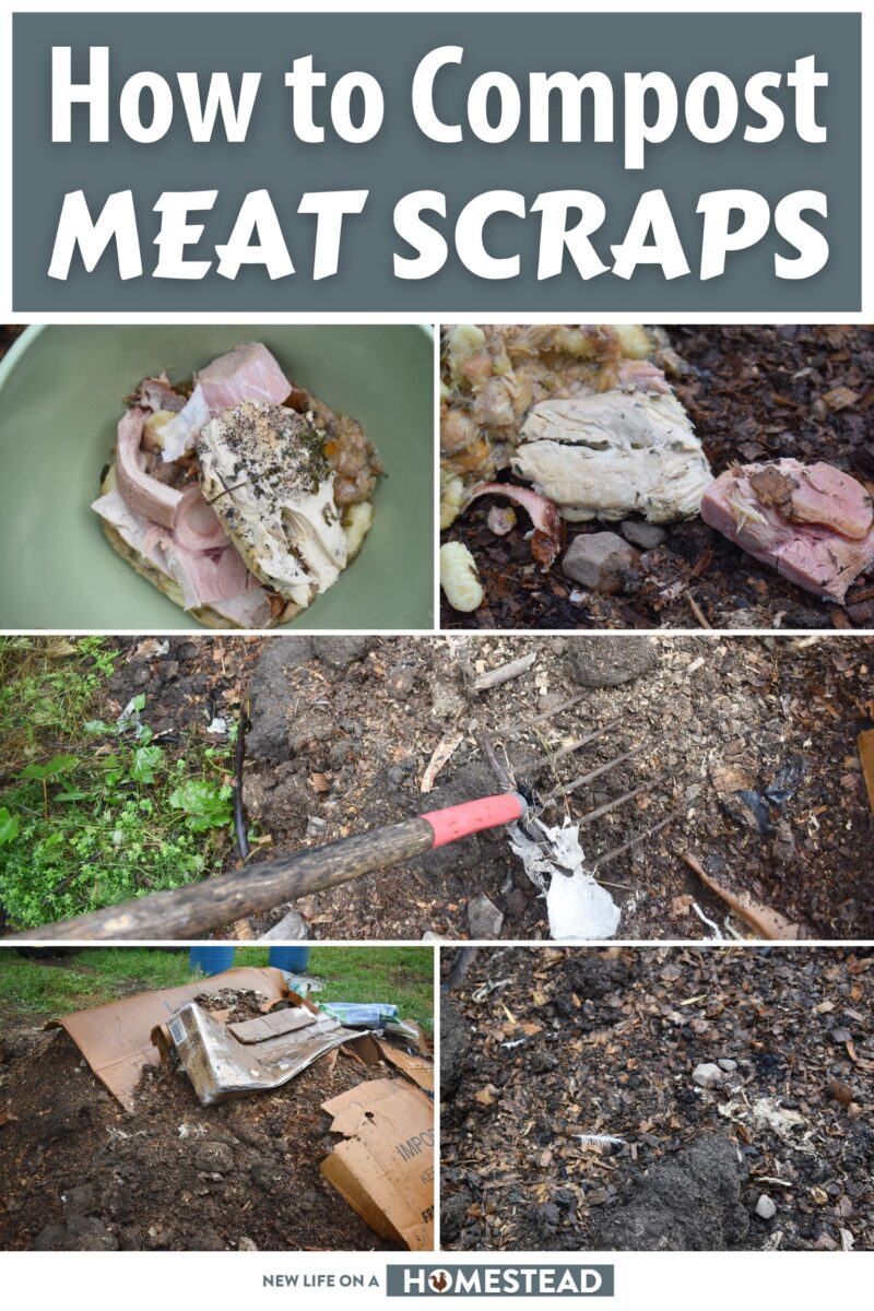 composting meat scraps pinterest