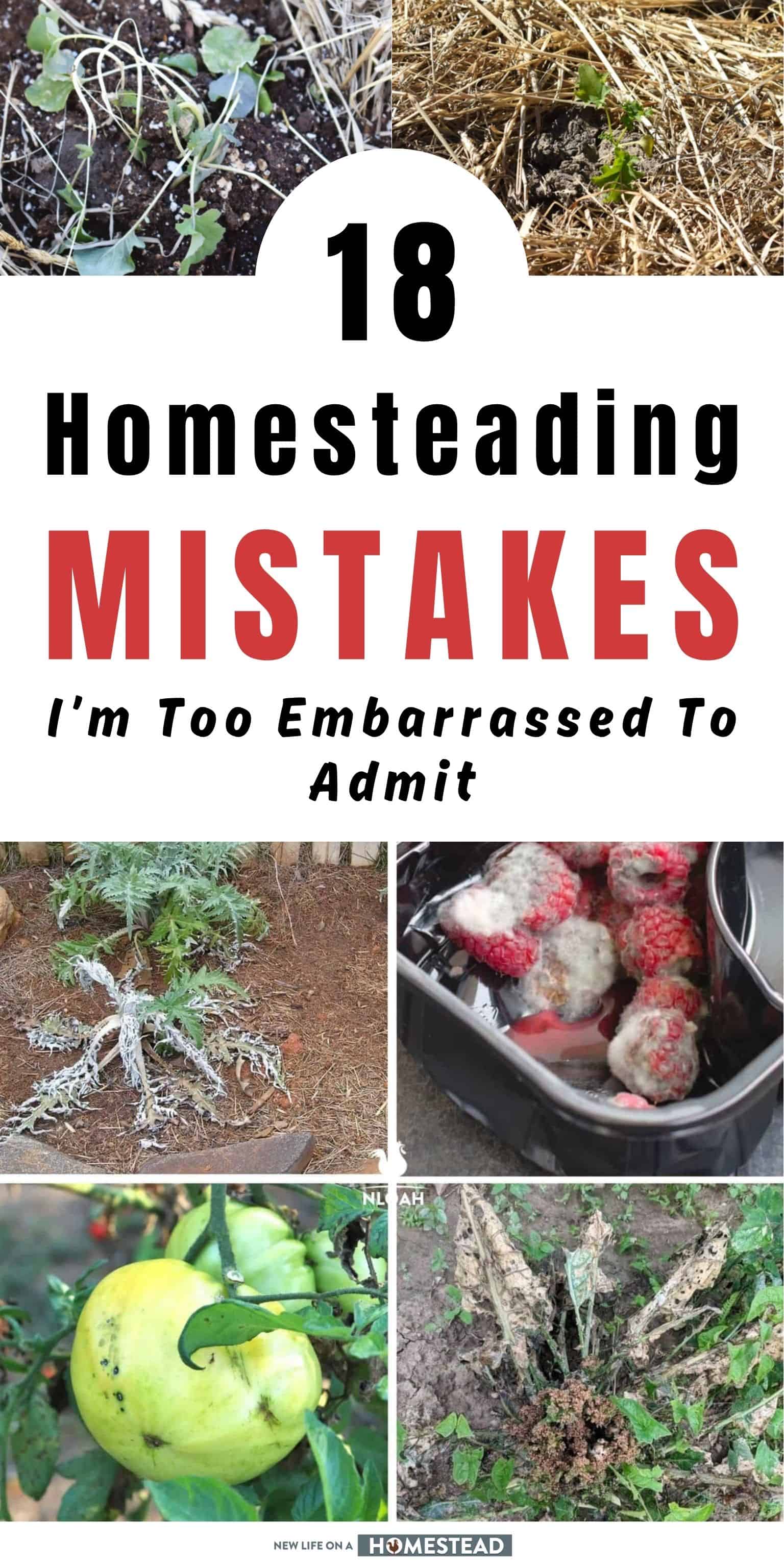 18 Homesteading Mistakes I’m Too Embarrassed To Admit