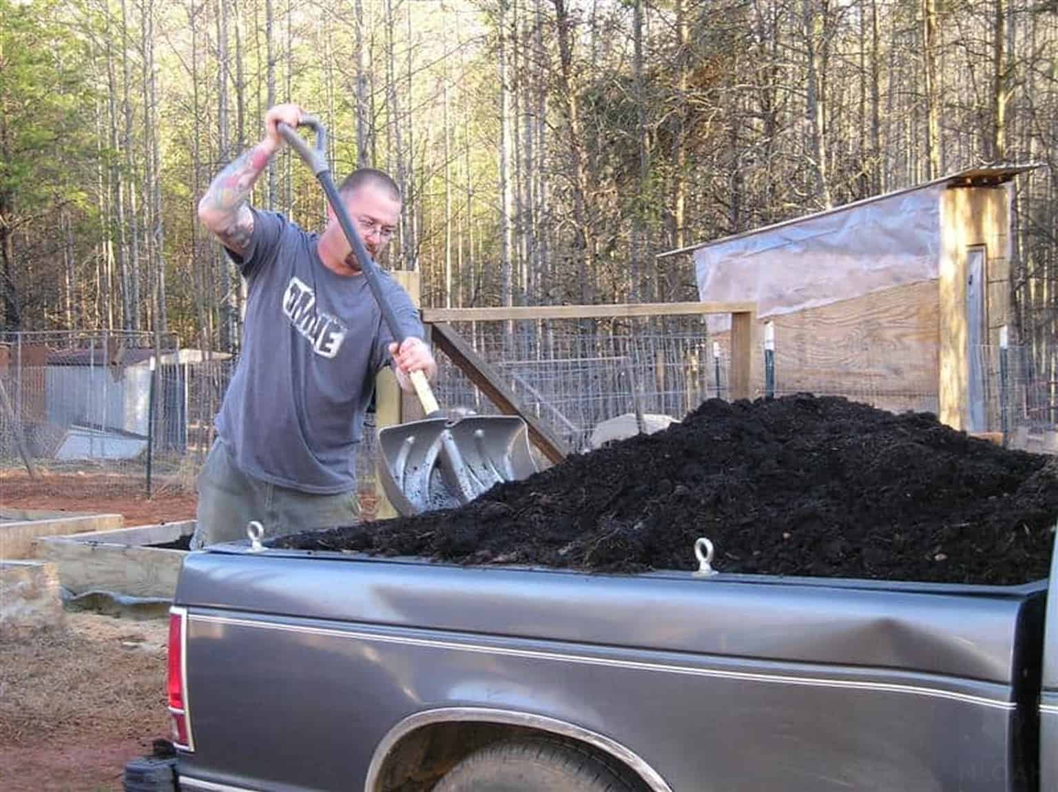 man unloading compost from pick-up truck with shovel