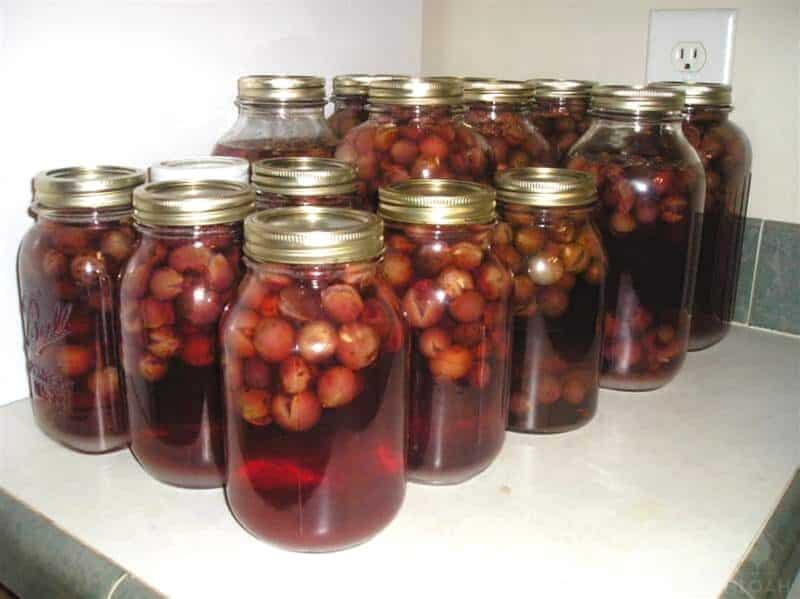 15 jars of canned muscadine grape juice