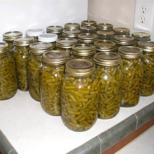 27 jars of canned green beans