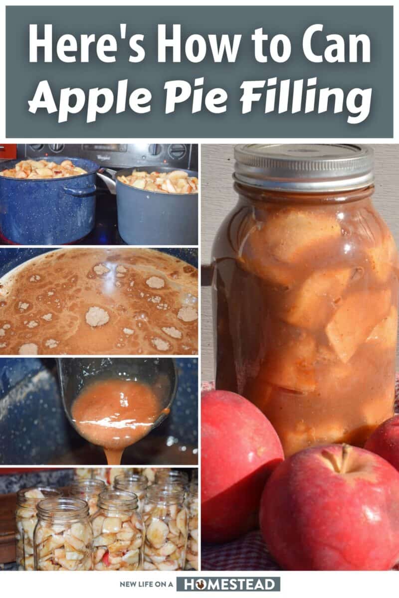 canning apple pie filling pinterest