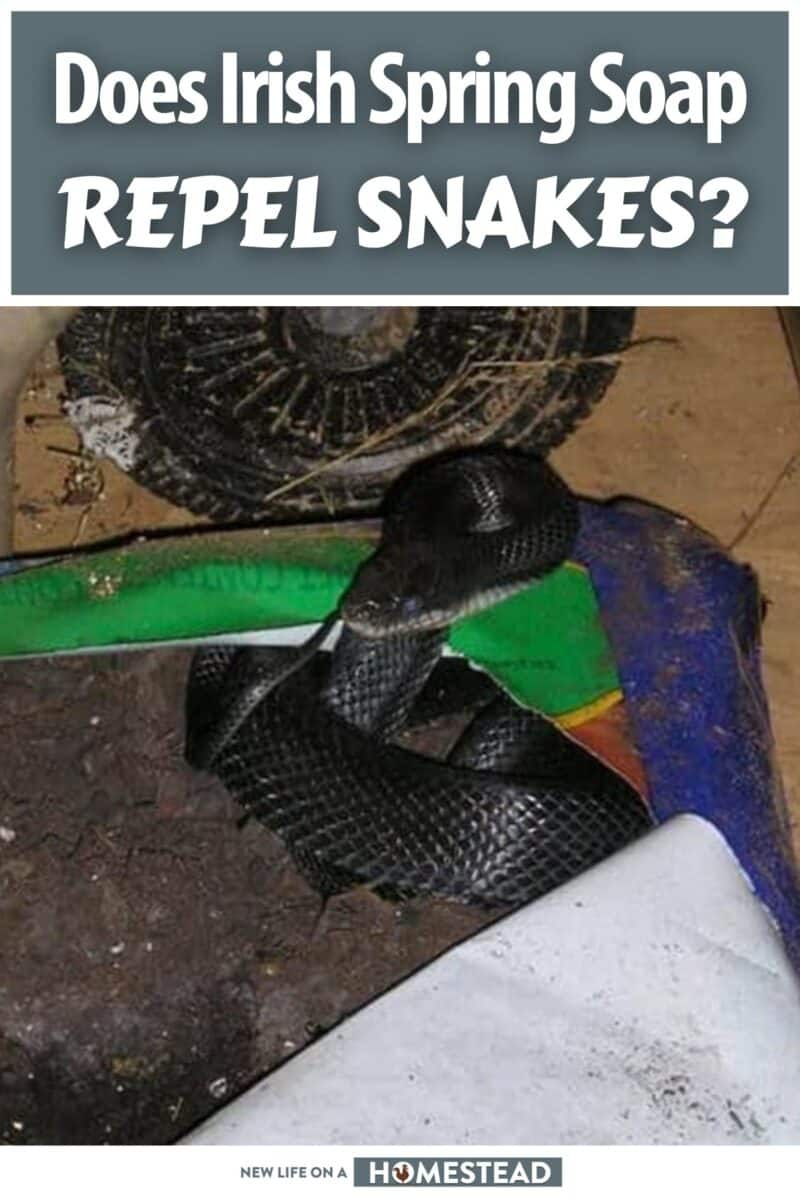 does irish spring soap repel snakes pinterest