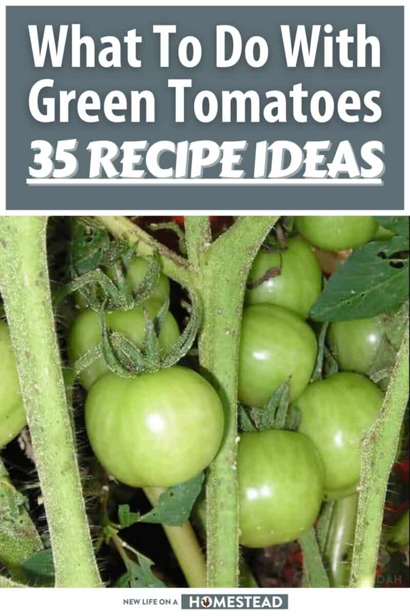 green tomato recipes pinterest
