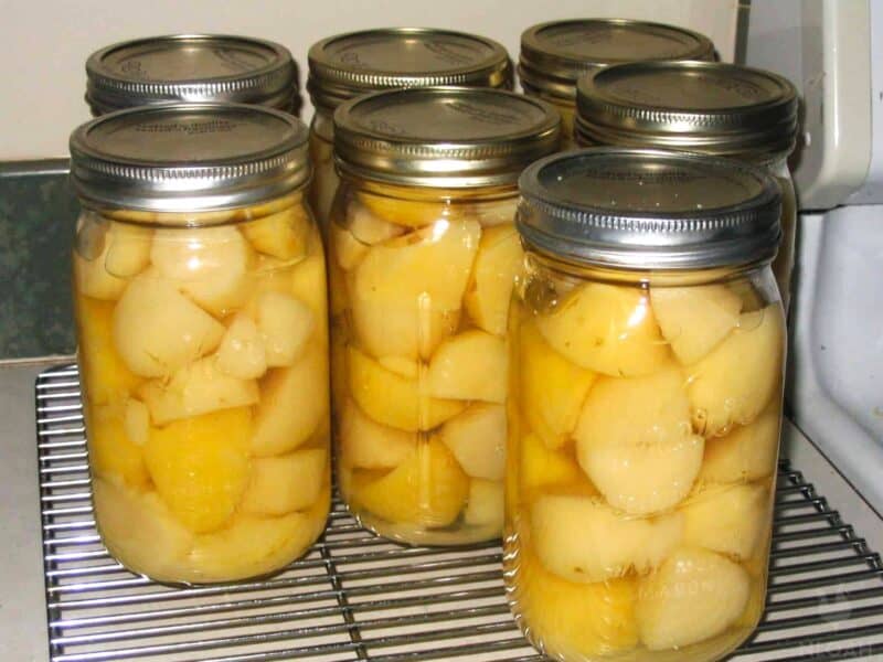 jars of canned potatoes