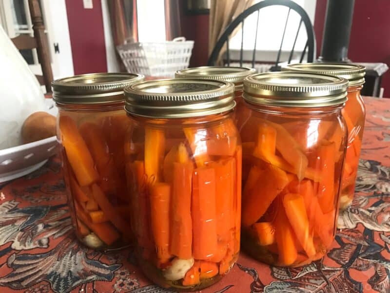 jars of dilled carrots