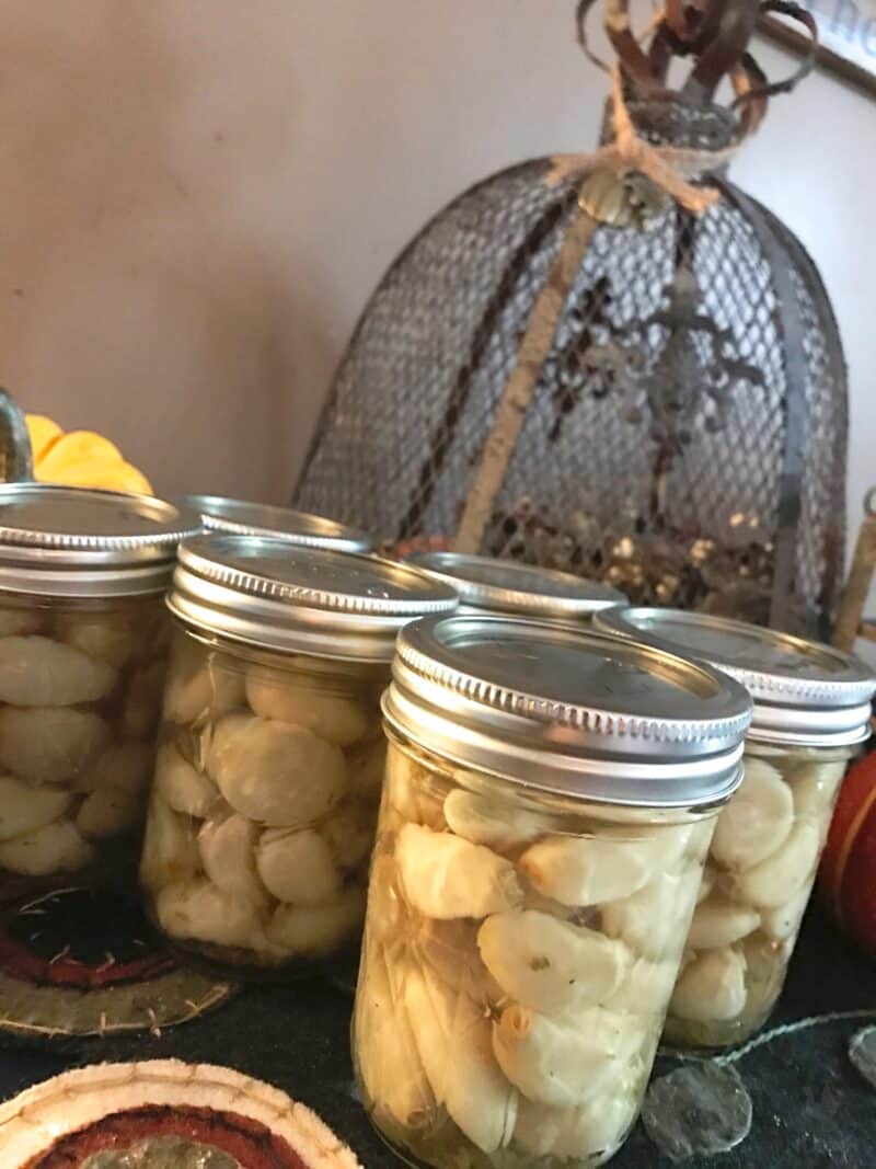 jars of pickled garlic