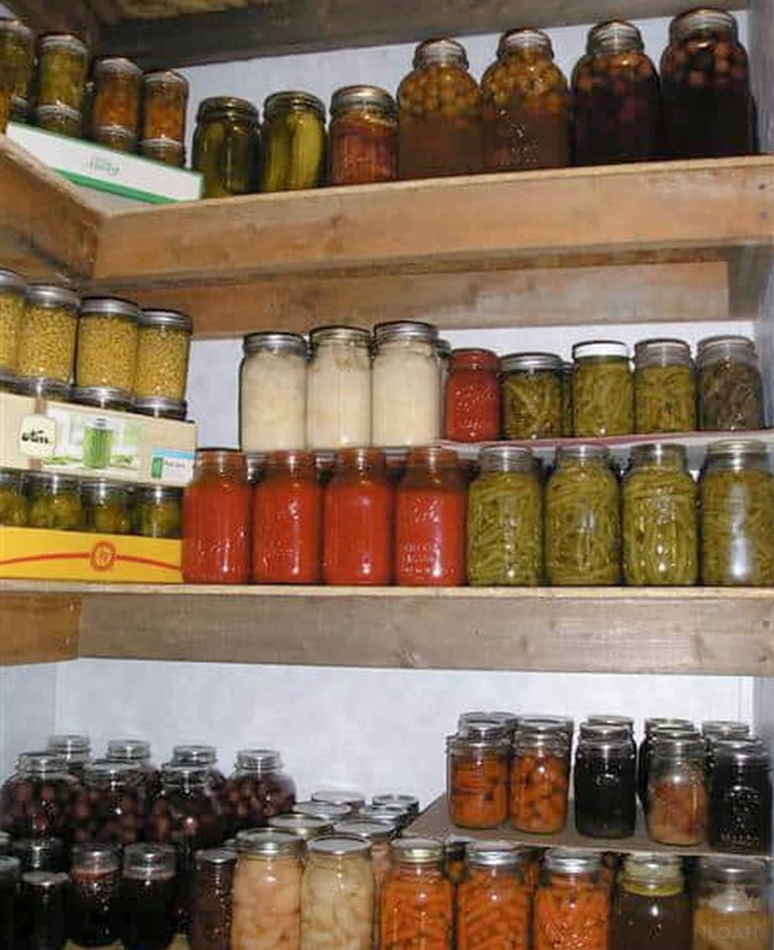 pantry shelves stocked with home canned goods