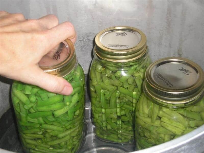 placing cans of green beans in pressure canner