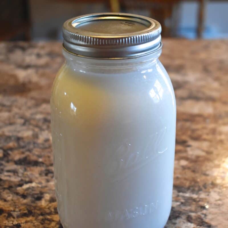 rendered tallow in jar