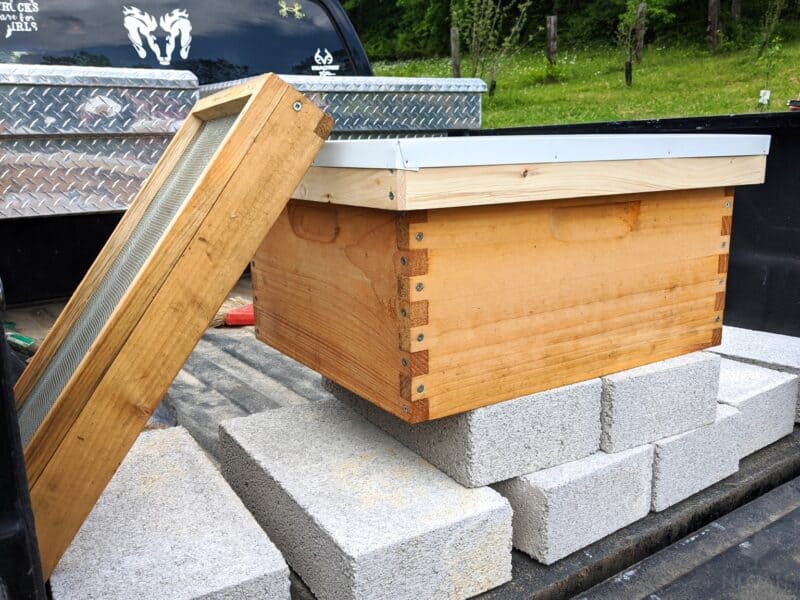 top bar hive on cinder blocks