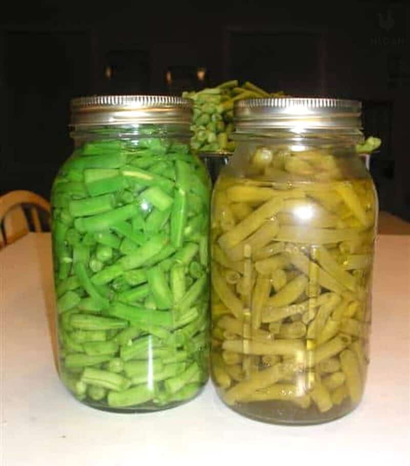 two jars of green beans before and after pressure canning