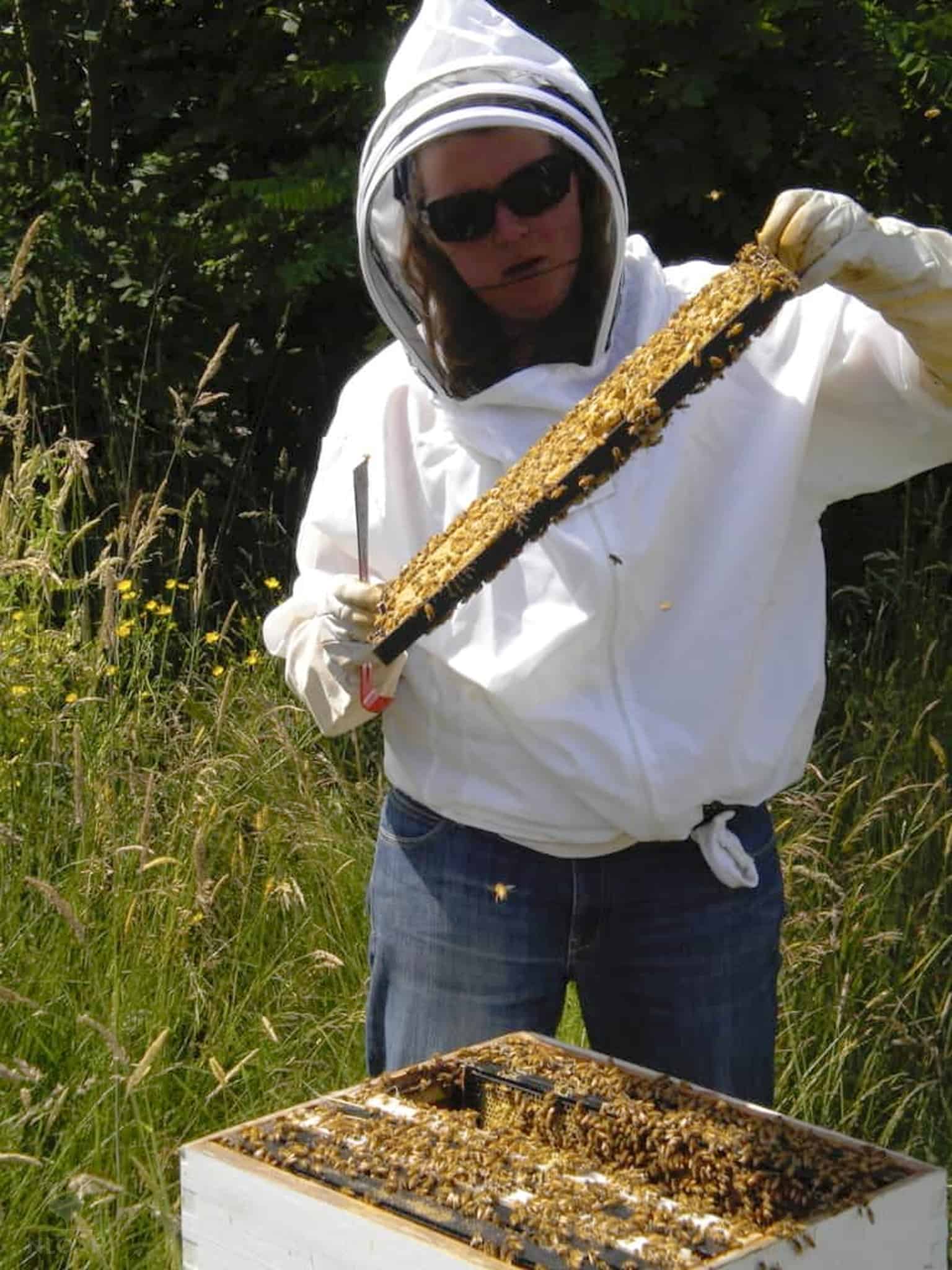 woman in beekeeping suit inspecting a frame full of bees