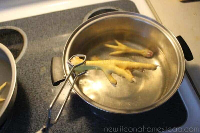 boiling chicken feet