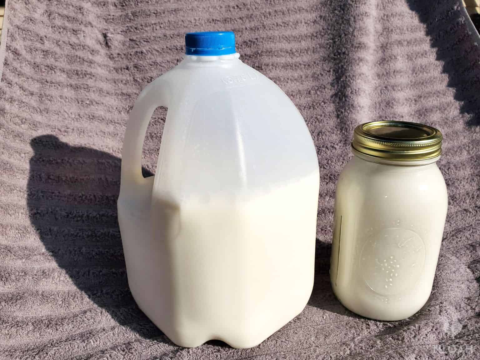 canned milk next to jug