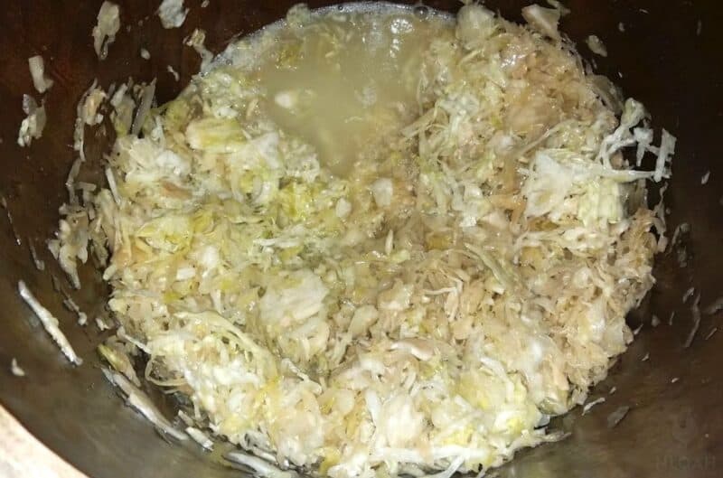 fermented sauerkraut in crock