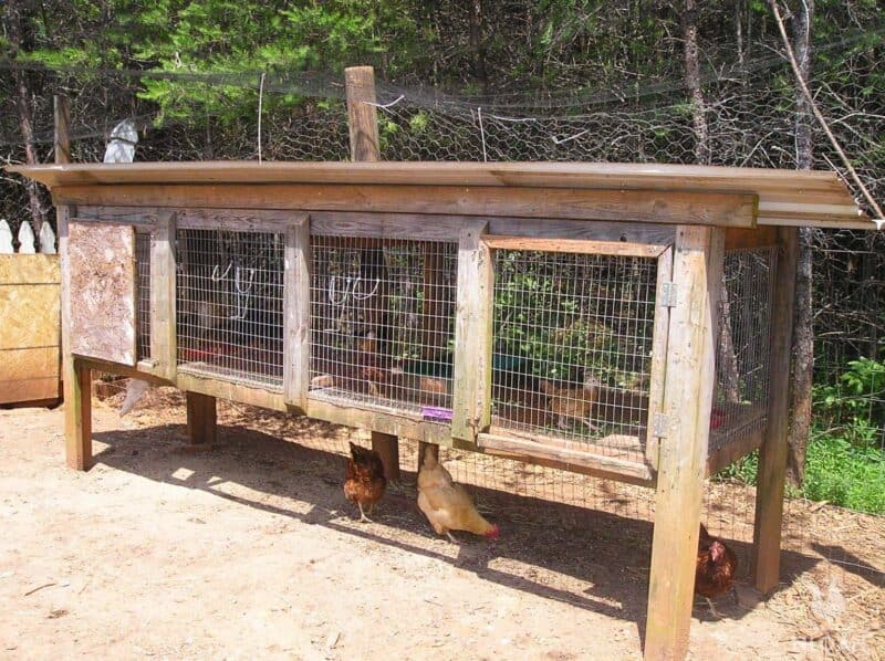 rabbit cage turned into a chick coop