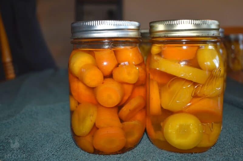 canned carrots