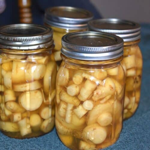 canned parsnips
