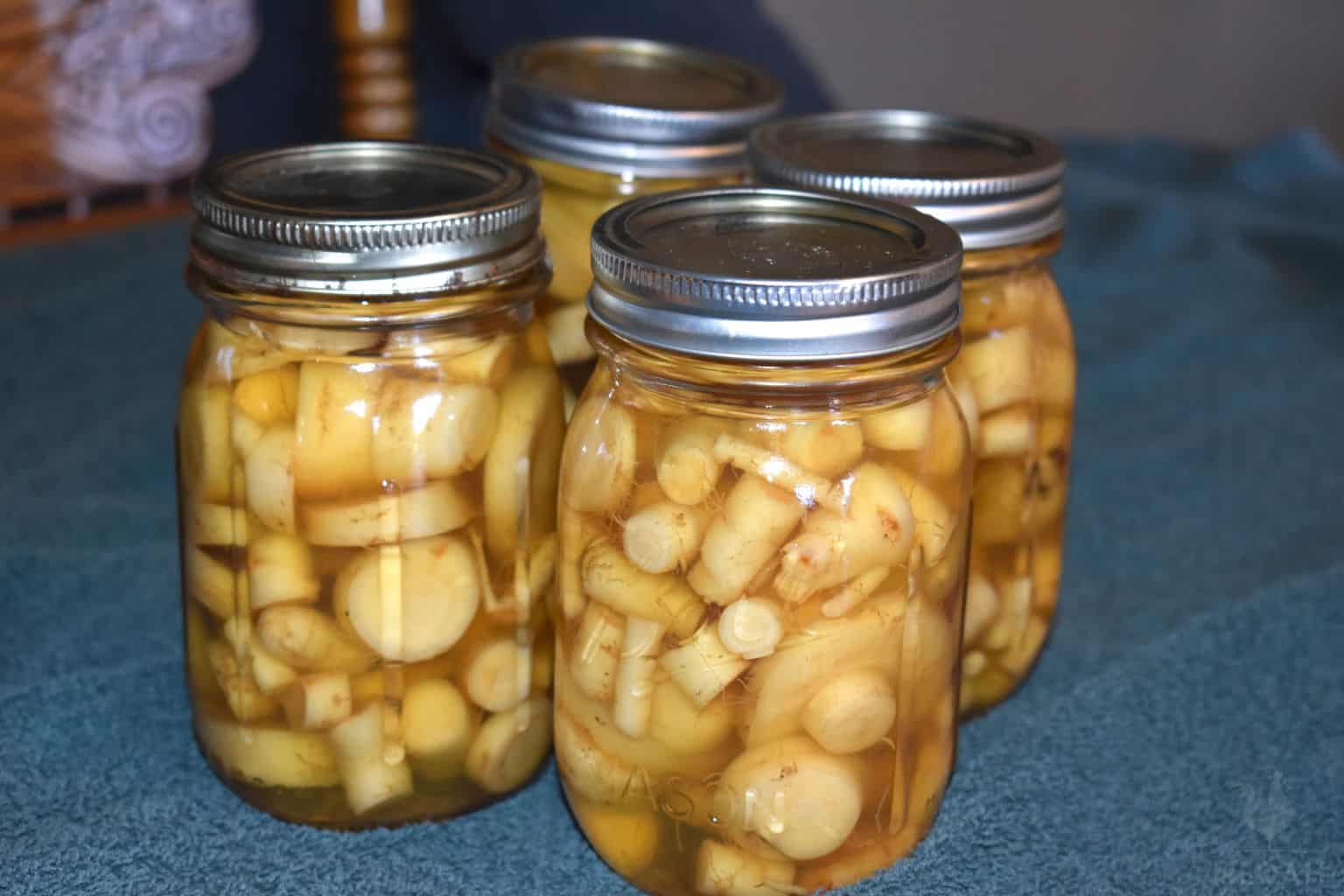 canned parsnips