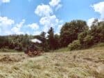 cutting hay before baling