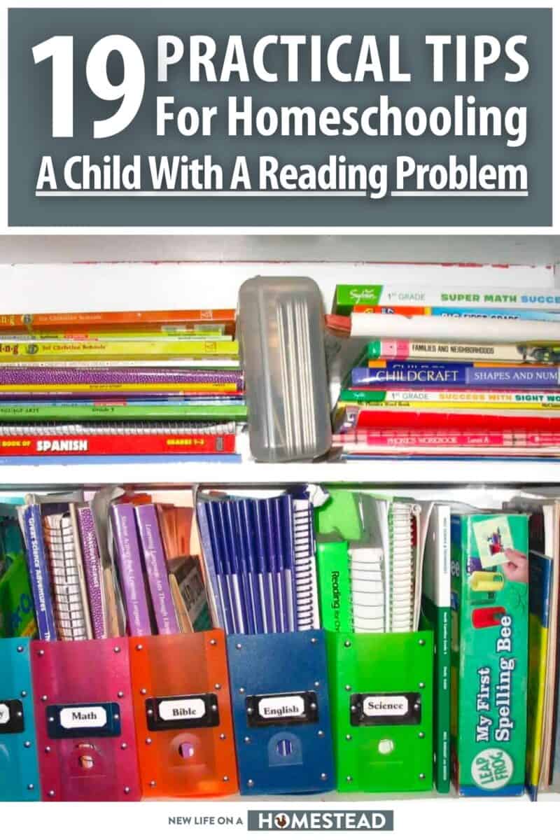 homeschooling a child with a reading problem pinterest