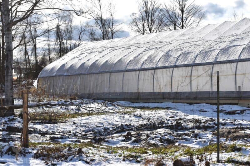 large polytunnel greenhouse under the winter sun
