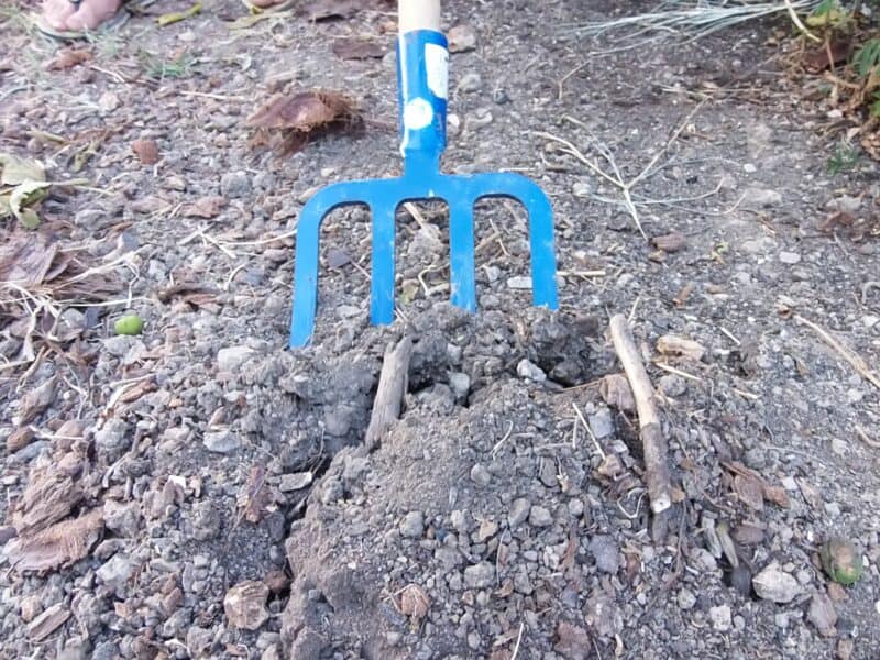 lifting soil with pitchfork