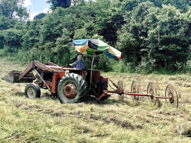 man driving tractor with hay tedder attached